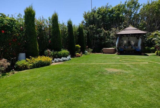 66694946 - صورة العقار 3