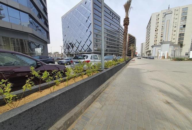 8550460 - Property Image 3