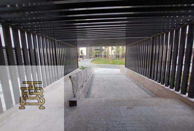 53974928 - Property Image 3