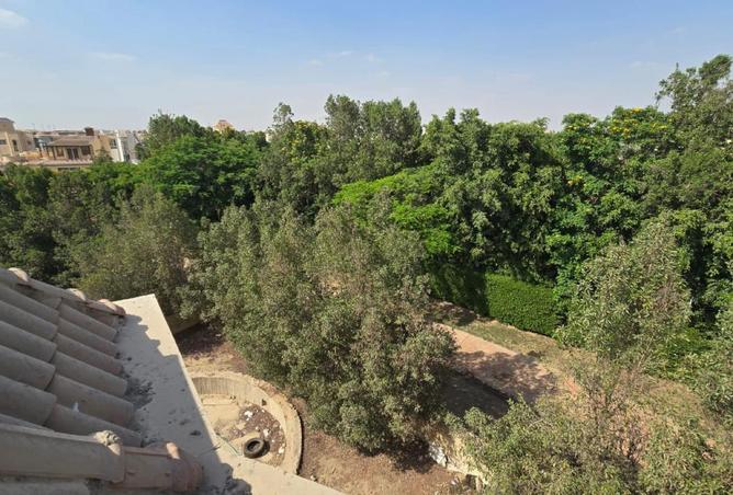 89831535 - صورة العقار 2