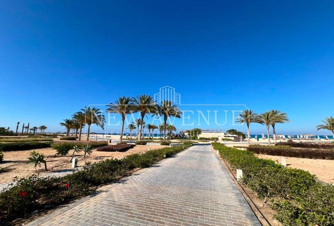 93528124 - صورة العقار 2
