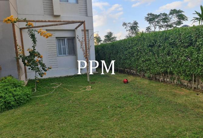 55508469 - Property Image 3