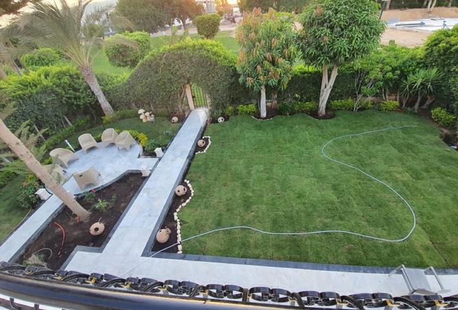 57243616 - Property Image 2