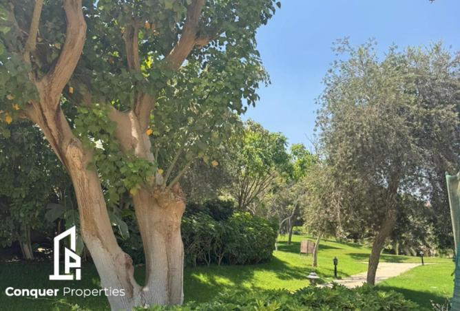 8606221 - صورة العقار 2