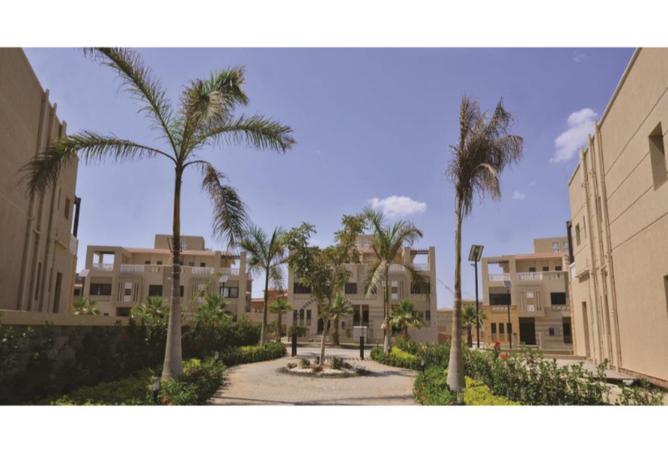 81310315 - صورة العقار 3