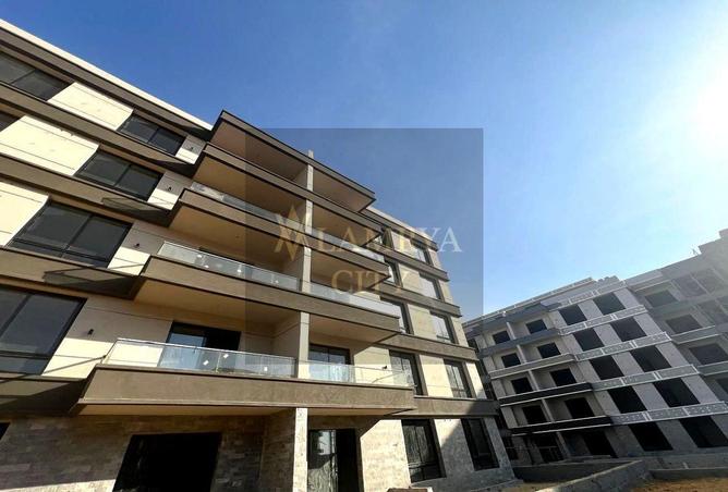 56250412 - Property Image 2