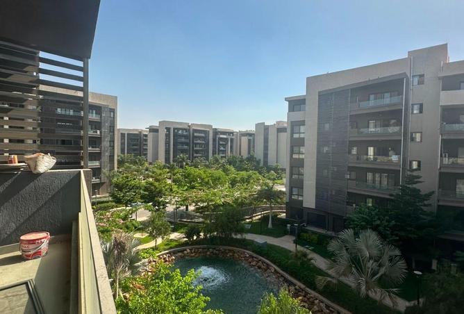 83126749 - Property Image 2