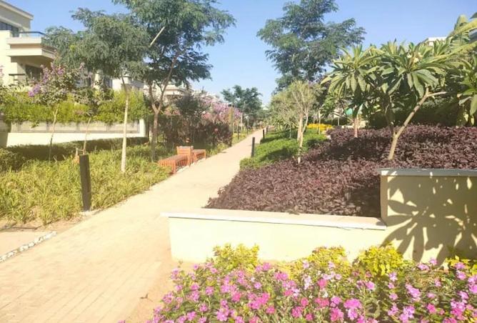 62408582 - صورة العقار 3