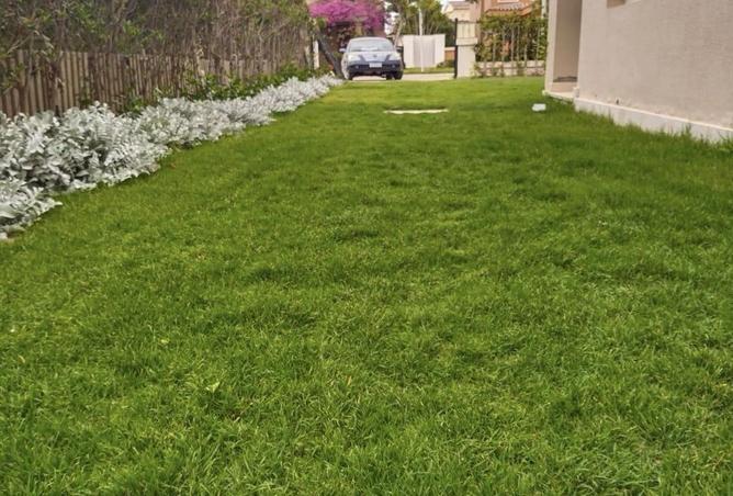 8624864 - Property Image 3