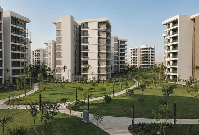101497474 - Property Image 3
