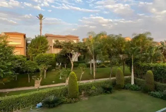 111886515 - Property Image 2