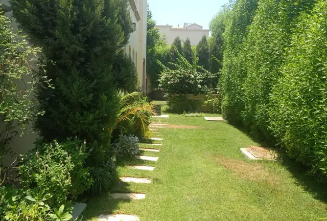 120627462 - صورة العقار 2