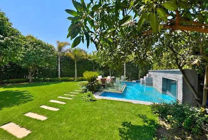 113262587 - Property Image 3