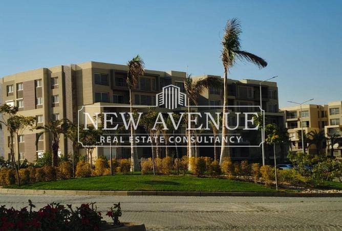 62646826 - Property Image 3