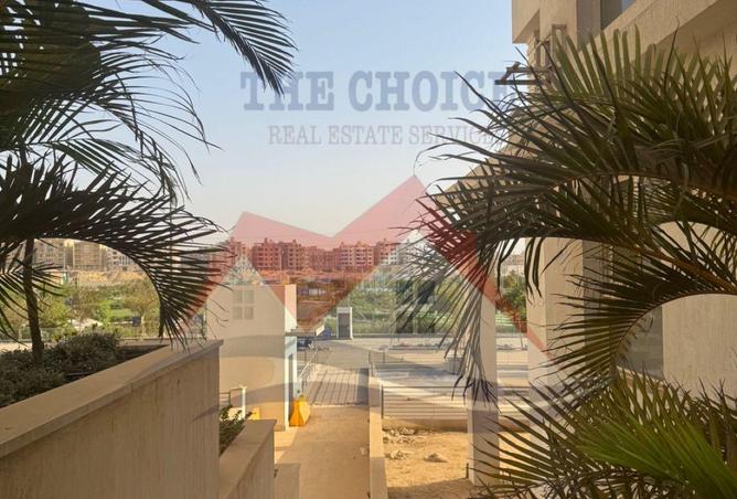 61921339 - صورة العقار 3