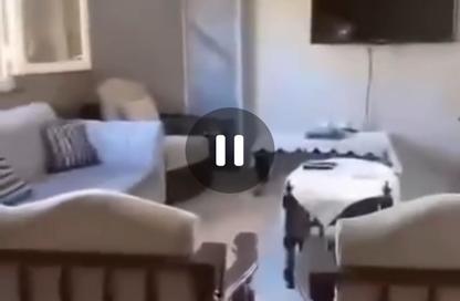 شقة - 3 غرف نوم - 2 حمامات للايجار في جاردينا الشمس - التوسعات الشمالية - مدينة 6 أكتوبر - الجيزة شقة - 3 غرف نوم - 2 حمامات للايجار في جاردينا الشمس - التوسعات الشمالية - مدينة 6 أكتوبر - الجيزة