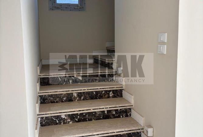 55751003 - صورة العقار 3