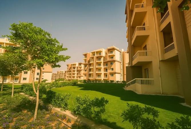 8338533 - Property Image 2