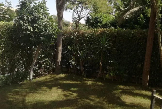 111018339 - صورة العقار 2