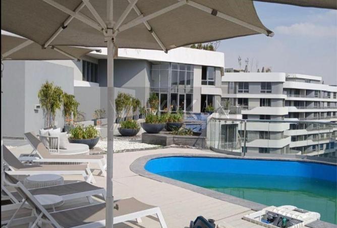 55753024 - صورة العقار 3