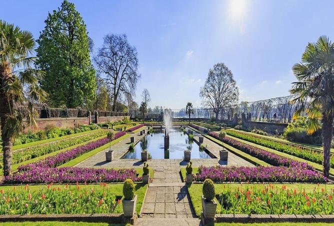 8541186 - صورة العقار 2