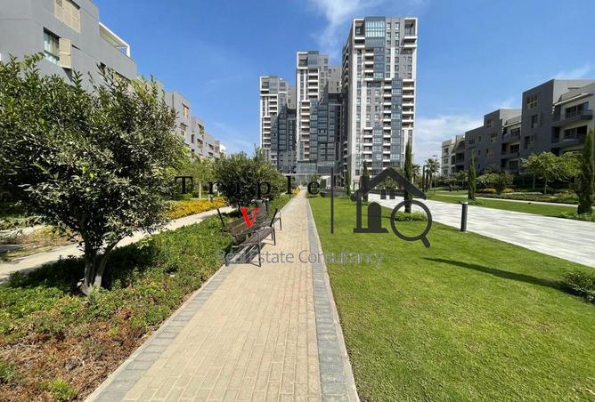 65658040 - Property Image 3