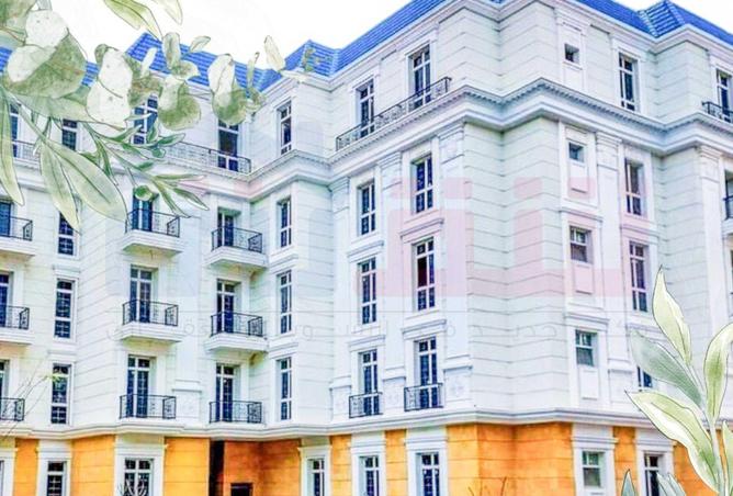 55746942 - Property Image 2