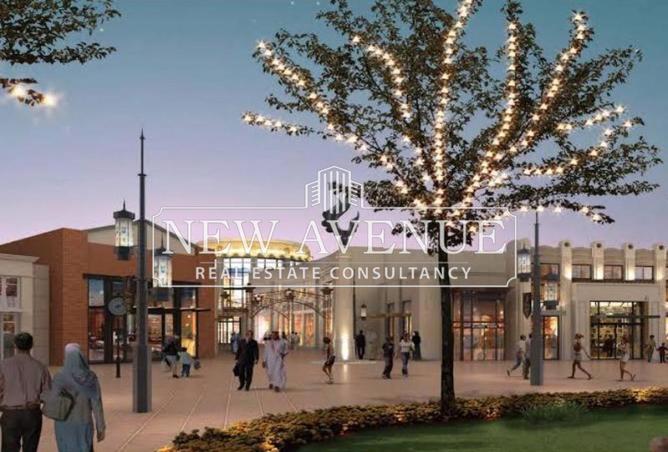 8628283 - Property Image 3