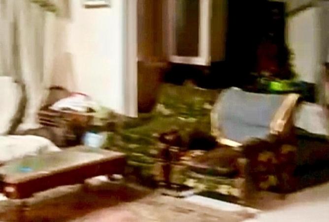 69055739 - Property Image 2