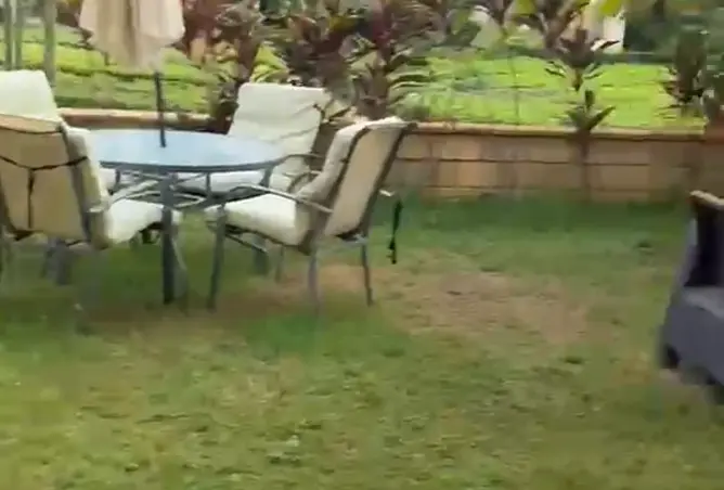 113816034 - Property Image 3