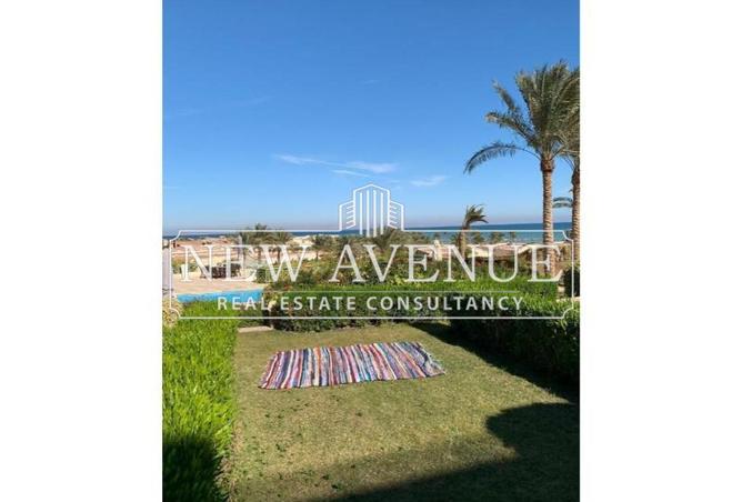 56250409 - Property Image 3