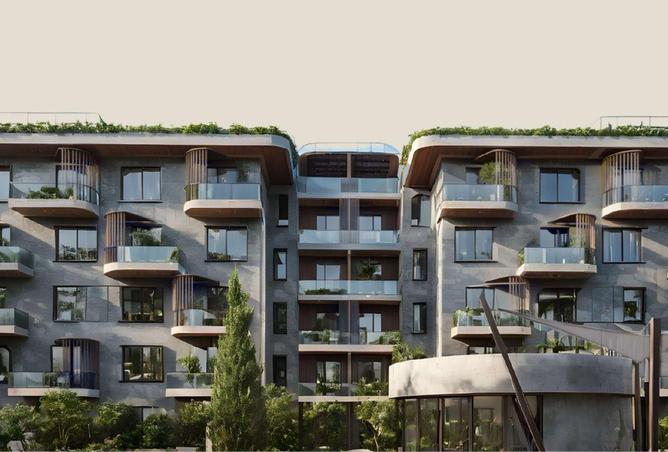 8715421 - Property Image 3