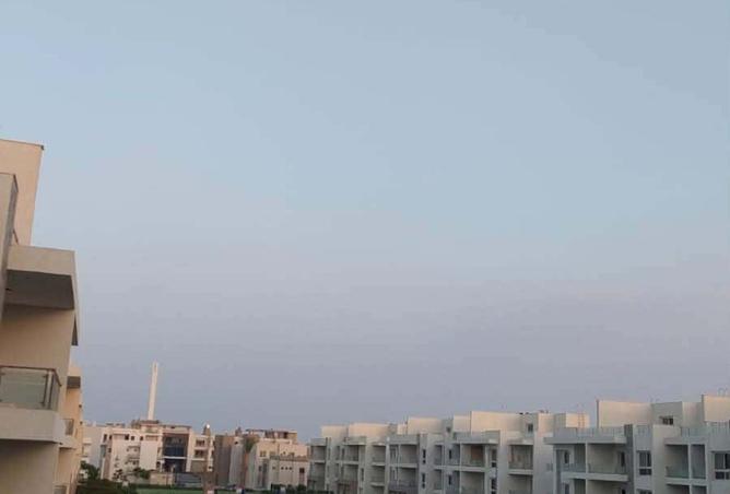 91858398 - Property Image 3