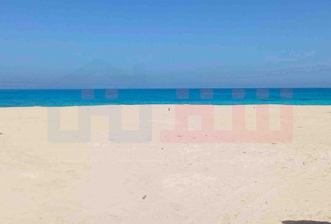 81307705 - صورة العقار 3