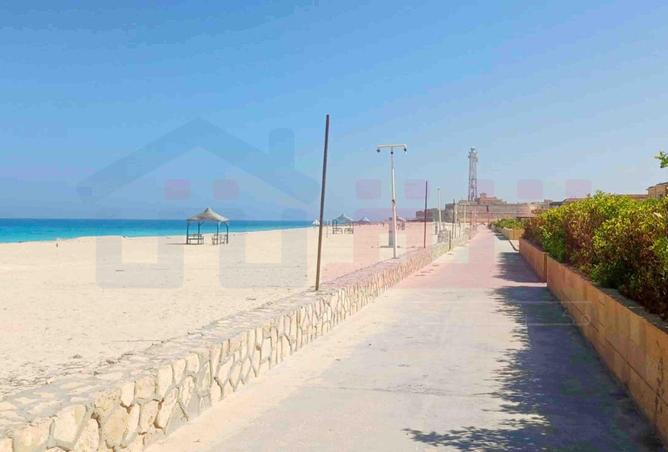 81307705 - صورة العقار 2