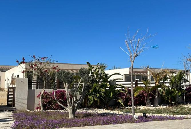 97706799 - Property Image 2