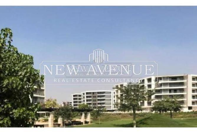 8663817 - صورة العقار 2