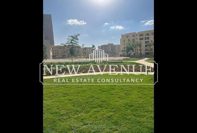 65925418 - صورة العقار 3