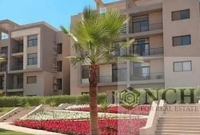 81316118 - صورة العقار 3