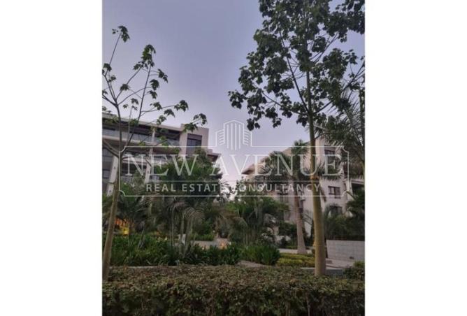 98002349 - Property Image 3