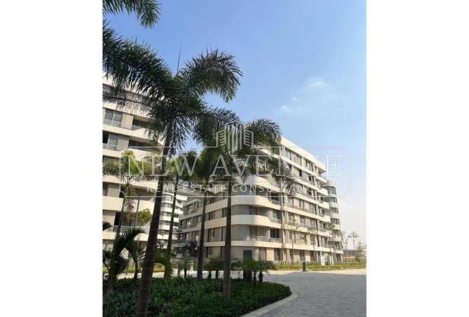 97424613 - Property Image 3