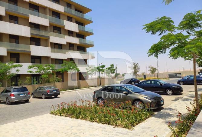 52451884 - صورة العقار 3