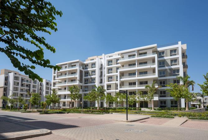 65919431 - صورة العقار 2