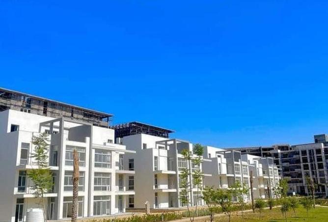 8553475 - Property Image 3