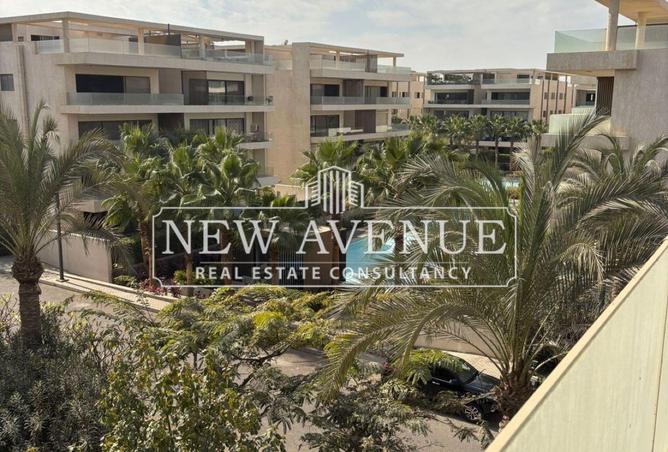 58246943 - Property Image 2