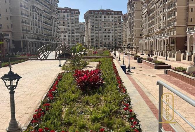 64390579 - صورة العقار 3