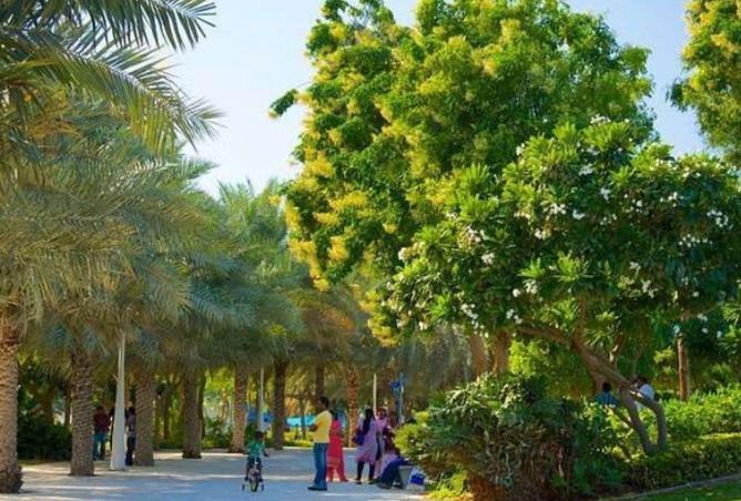 8533020 - صورة العقار 2