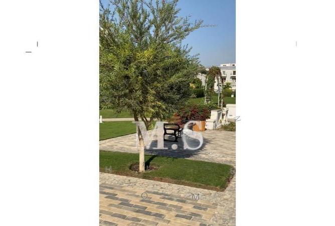 67734284 - Property Image 3