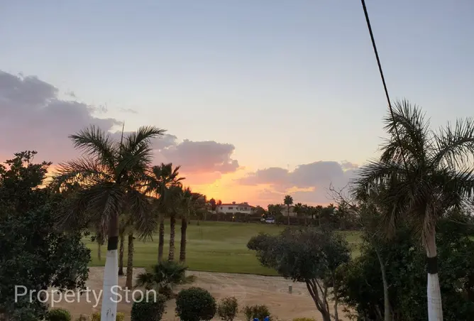 81057507 - Property Image 3