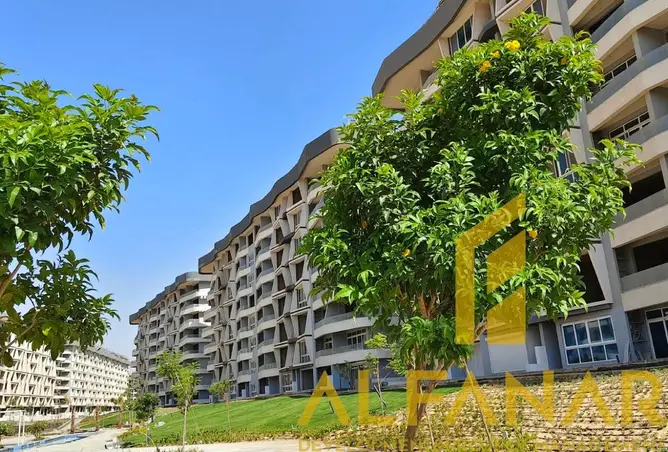 113824842 - Property Image 2